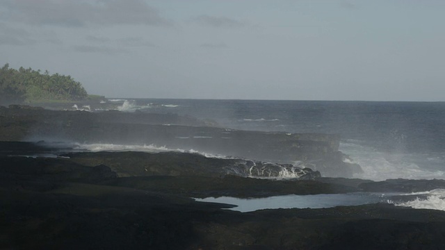 WS SLO MO海浪撞击岩石与巨大的水花和树在远处/ Waipio，夏威夷，美国视频素材