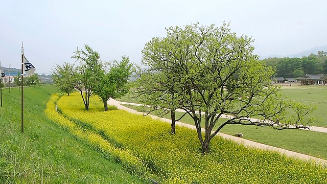 韩国忠清南道，海修城城堡区/修山的MS Shot视频素材