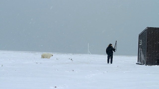 WS TS ZO拍摄的猎人用步枪盯着北极熊射击/ Arviat, Nunavut，加拿大视频素材