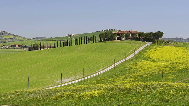 WS View of Country road通往一个乡村房子，柏树/ Pienza，托斯卡纳，意大利视频素材