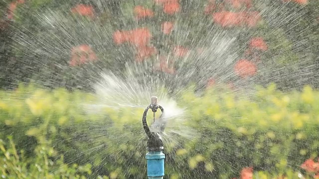 水洒水洒草视频素材