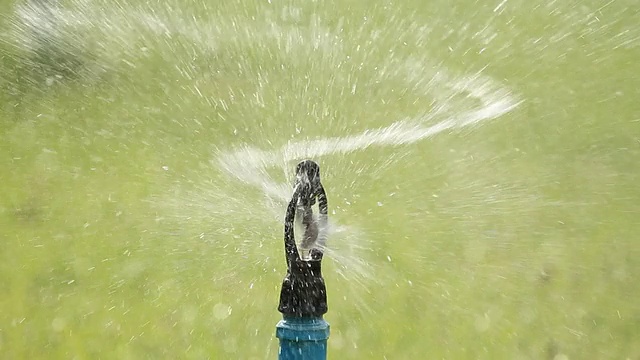 水洒水洒草视频素材