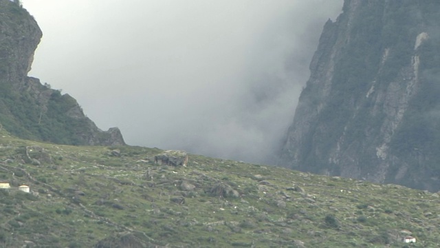 撤回印度北阿坎德邦巴德里纳特山谷视频素材