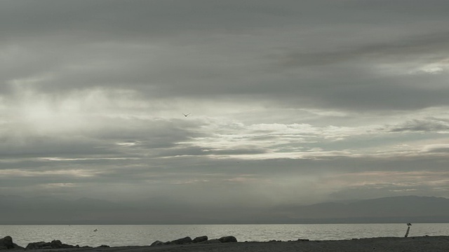 全景。镜头摇摄穿过画成的天空。一群飞鸟掠过波光粼粼的水面。视频素材