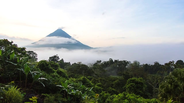 哥斯达黎加阿拉胡埃拉，拉福图纳，晨雾中阿雷纳火山和丛林的景象视频素材