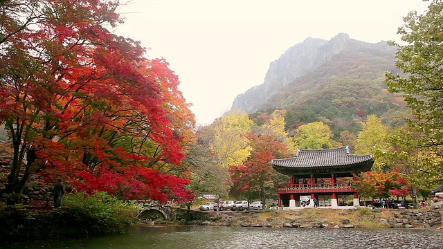 韩国全罗浦道，naejangshan国家公园/ Jeongeup的baekyangsa寺秋景视频素材