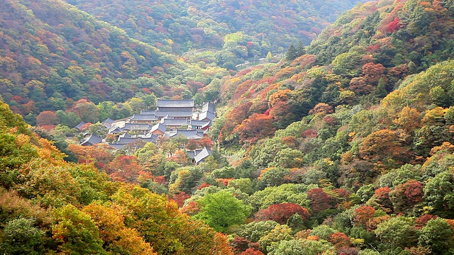 WS观秋天的beobseong寺/ Jeongeup，全拉岛，韩国视频素材