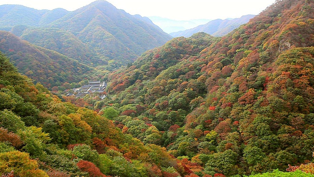 韩国全罗浦道，naeangshan国家公园/ Jeongeup的Baegyangsa寺Beobseong寺的秋景视频素材