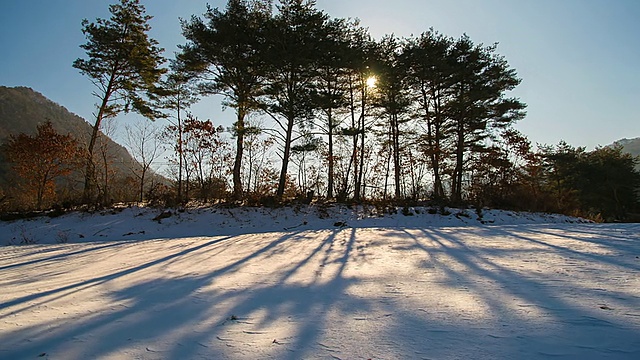 MS T/L上午被雪覆盖的田野/江原道正城郡，韩国视频素材