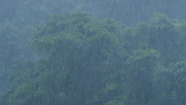 印度尼西亚北苏门答腊岛热带雨林的暴雨视频素材