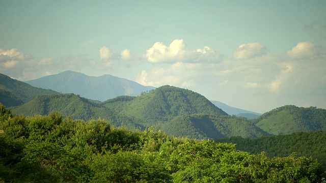 山地森林/ Fukashima，日本东北部视频素材