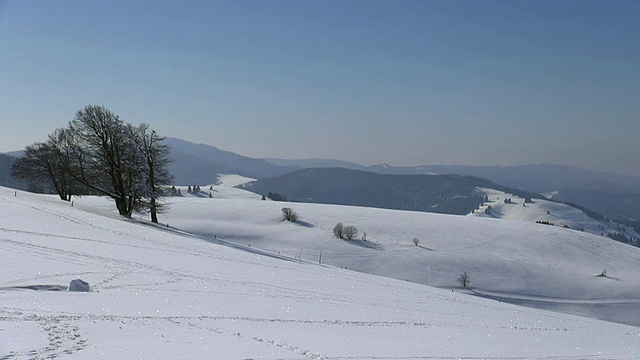 德国巴登-符腾堡州黑森林Schauinsland / Schauinsland冬季Schwarzwald景观视频素材