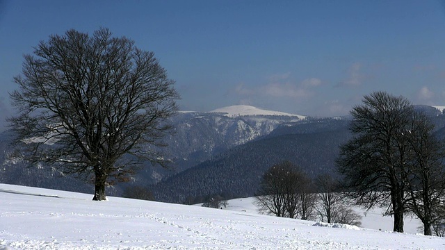 德国巴登符腾堡州黑森林/ Schauinsland黑森林黑森林的费尔德堡冬季景观视频素材