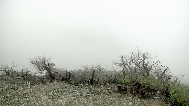 印度尼西亚爪哇伊真火山杂岩/伊真周围的MS TD视频素材