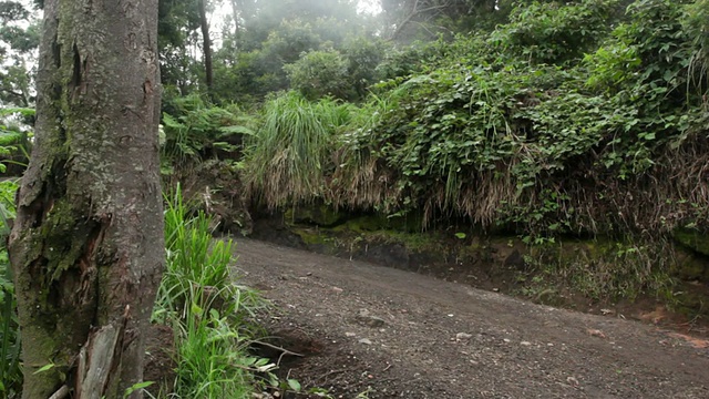 MS Miner携带固体硫到称重舱/ Ijen，爪哇，印度尼西亚视频素材