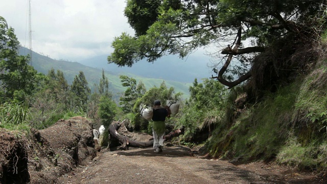 MS Miner携带固体硫到称重舱/ Ijen，爪哇，印度尼西亚视频素材