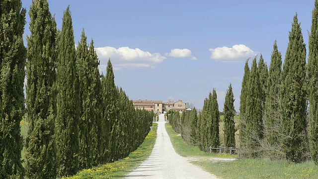 WS View of Cypress tree avenue通往意大利托斯卡纳Asciano的乡村别墅视频素材