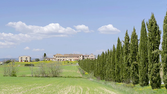 WS View of Cypress tree avenue通往意大利托斯卡纳Asciano的乡村别墅视频素材