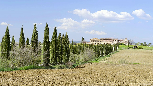 WS View of Cypress tree avenue通往意大利托斯卡纳Asciano的乡村别墅视频素材