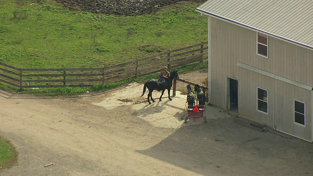 WS ZI AERIAL Shot的阿米什男孩骑和停车在农场/ Bergholz，美国俄亥俄州的马厩视频素材