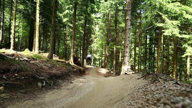 山地车在绿色的森林里骑车下山视频素材