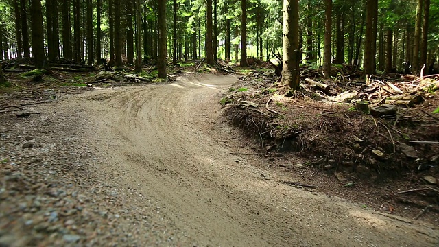 山地车在绿色的森林里骑车下山视频素材