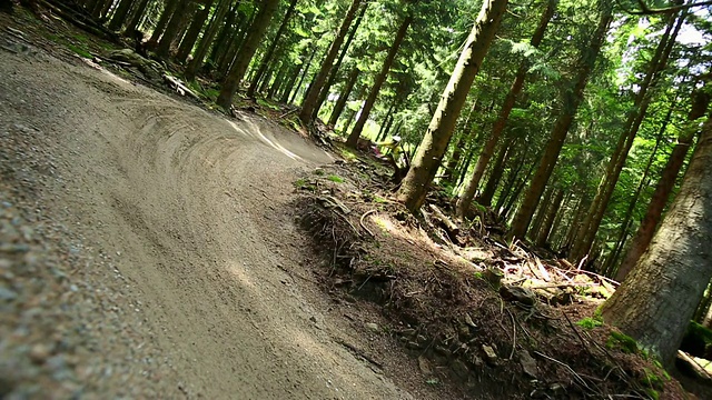 山地车在绿色的森林里骑车下山视频素材