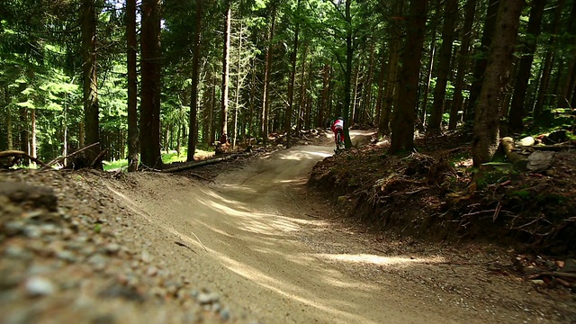 山地车在绿色的森林里骑车下山视频素材