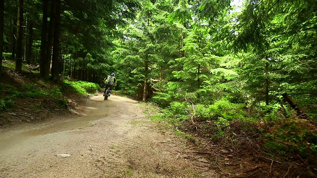 山地车在绿色的森林里骑车下山视频素材