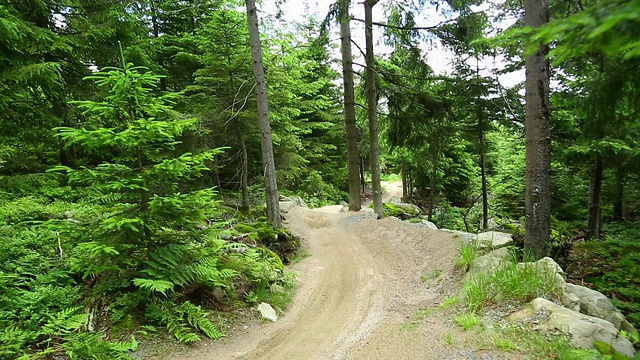 山地车在绿色的森林里骑车下山视频素材