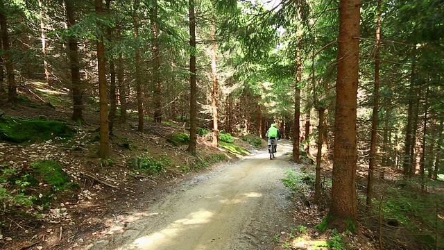 山地车在绿色的森林里骑车下山视频素材