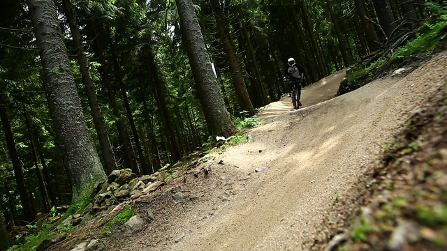 山地车在绿色的森林里骑车下山视频素材