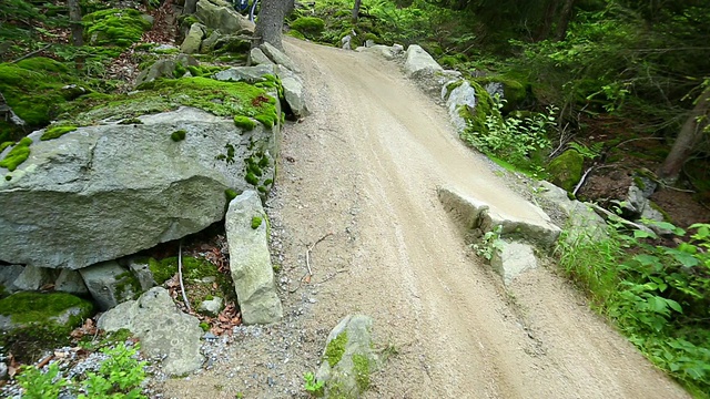 山地车在绿色的森林里骑车下山视频素材