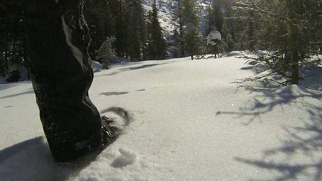 在高山景观中穿雪鞋视频素材