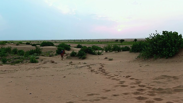 沙漠中骑骆驼的人的观点/印度拉贾斯坦邦的Jaisalmer视频素材