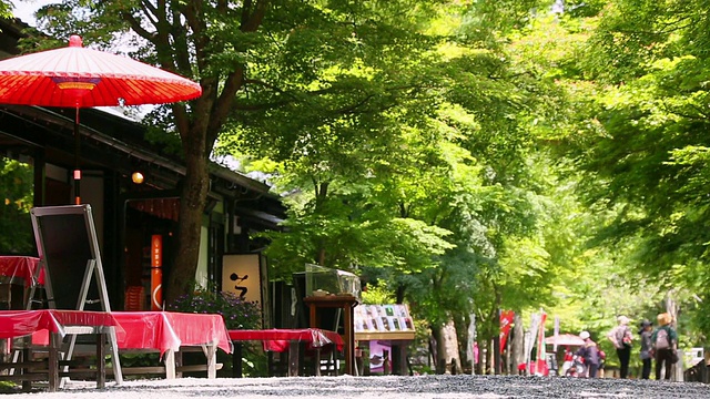 町屋风格的餐厅和礼品店在新鲜的绿树成荫的街道/大原，日本京都视频素材