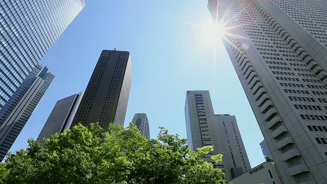 这张照片拍摄于日本东京西新宿区，阳光和摩天大楼背后摇曳的翠绿树木视频素材