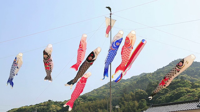 日本鸟取县松江，鲤鱼在风中飘扬视频素材