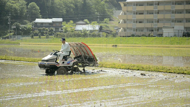 WS View of Senior man generation主要从事水稻种植、拖拉机驾驶、水稻育苗工作/日本兵库市丰冈市视频素材