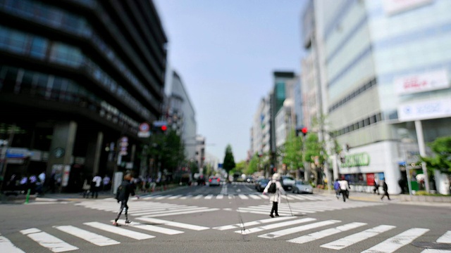 WS T/L城市人群/日本京都视频素材