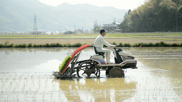 WS View of Senior man generation主要从事水稻种植、拖拉机驾驶、水稻育苗工作/日本兵库市丰冈市视频素材