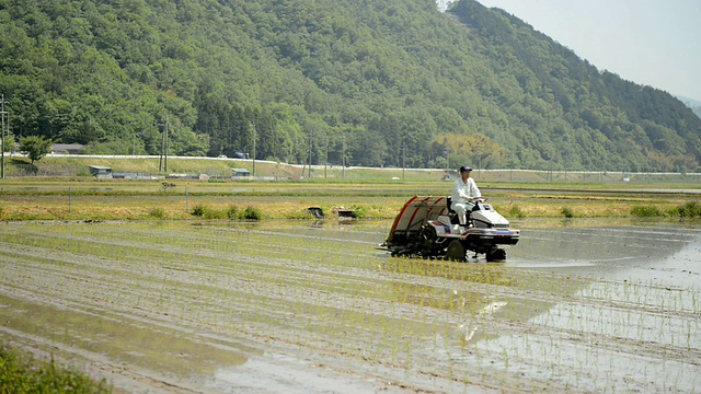 WS View of Senior man generation主要从事水稻种植、拖拉机驾驶、水稻育苗工作/日本兵库市丰冈市视频素材