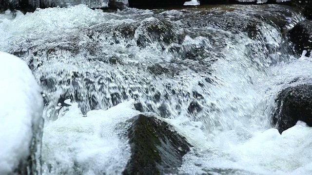 冰冻森林溪流特写潘和倾斜视频素材