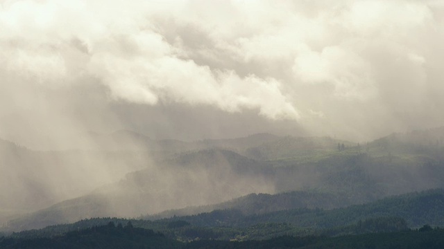 降雨落在俄勒冈的丘陵森林，引人注目的白云飞过头顶/科尼利厄斯，俄勒冈，美国视频素材