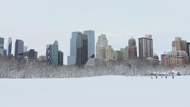 美国纽约，中央公园和曼哈顿摩天大楼被雪覆盖视频素材