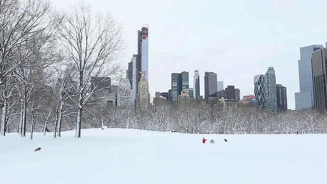 WS TU夫妇和狗狗在曼哈顿摩天大楼中央公园的积雪上奔跑，美国纽约视频素材