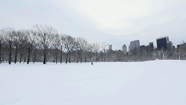 美国纽约，冰雪覆盖的中央公园和曼哈顿摩天大楼视频素材