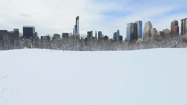 白雪覆盖的中央公园和曼哈顿摩天大楼/美国纽约视频素材