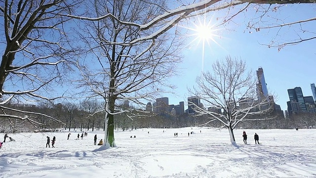 美国纽约中央公园和曼哈顿摩天大楼的积雪覆盖的树木和阳光照耀公园视频素材