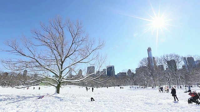 树站立和两个孩子在雪地上奔跑覆盖着中央公园，阳光照耀着曼哈顿摩天大楼/美国纽约视频素材